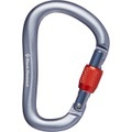 Black Diamond Rocklock Screwgate Karabiner gray 2020 Karabiner