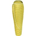 Grüezi Bag, Grüezi Bag Biopod DownWool Extreme Light 185 Daunenschlafsack