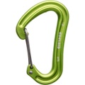 Edelrid Nineteen G Karabiner (Grün)