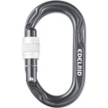 Edelrid Kiwi Screw Karabiner (Grau)