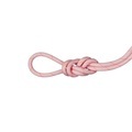 Mammut Besonders abriebfestes Kletterseil für Hallen 9.9 Gym Workhorse Classic Rope rot